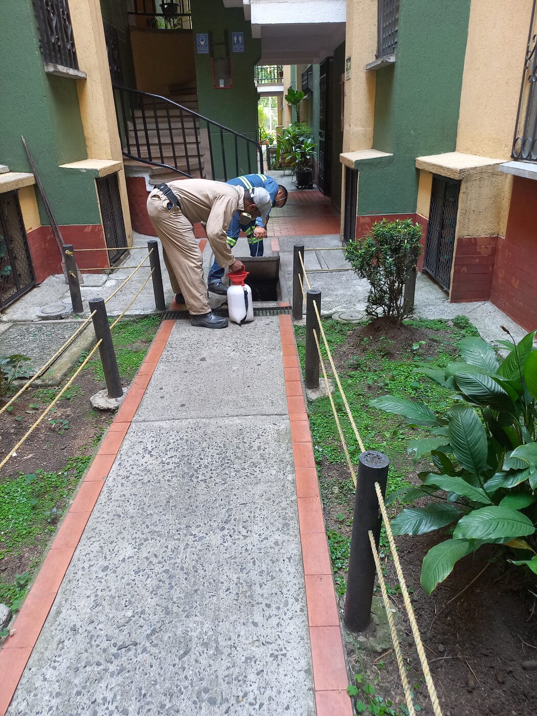 Control de roedores en alcantarillado en Cali