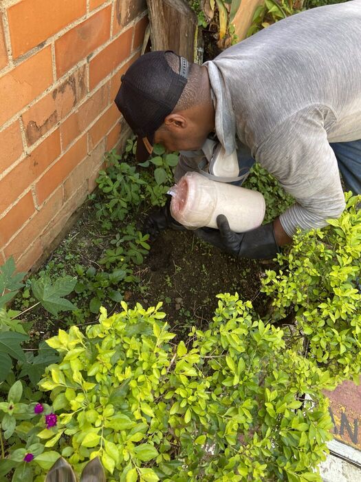Instalación de cebos para control de roedores en zonas exteriores en Cali