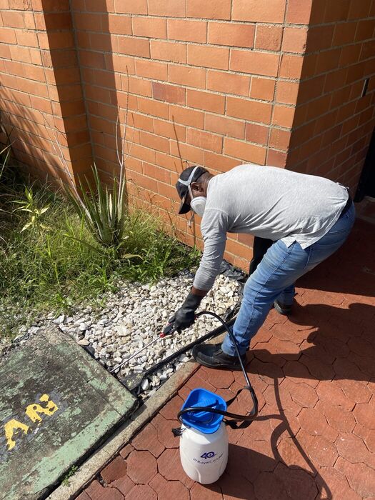 Tratamiento preventivo perimetral en jardines y exteriores en Cali