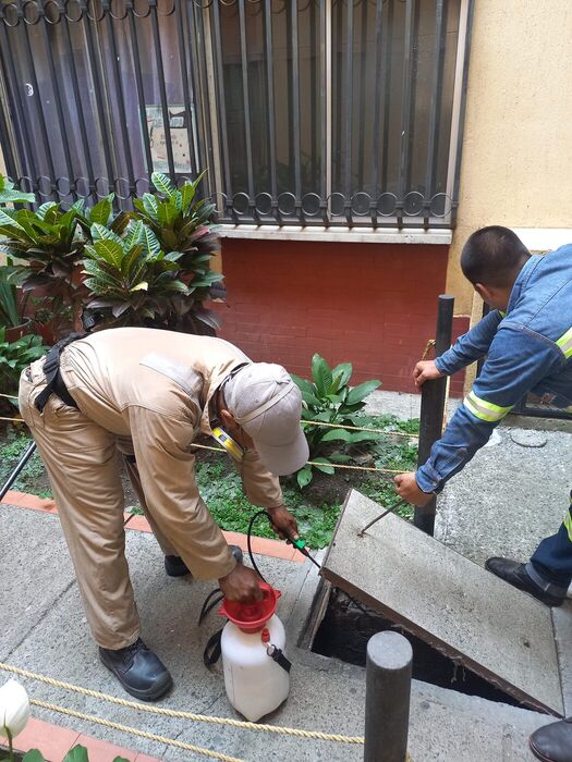 Dos tecnicos aplicando control de roedores en una caja de registro en Cali