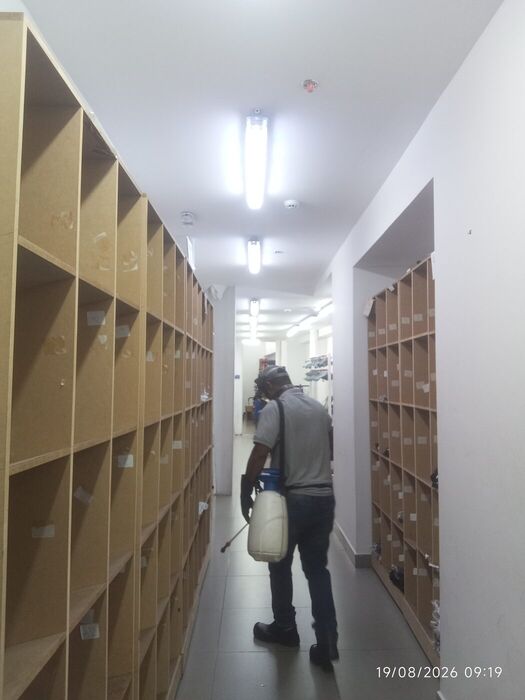 Fumigación del archivo y los casilleros de una empresa en Cali